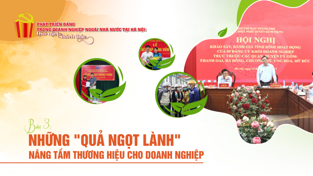 Bài 3 - Những "quả ngọt lành" nâng tầm thương hiệu cho doanh nghiệp