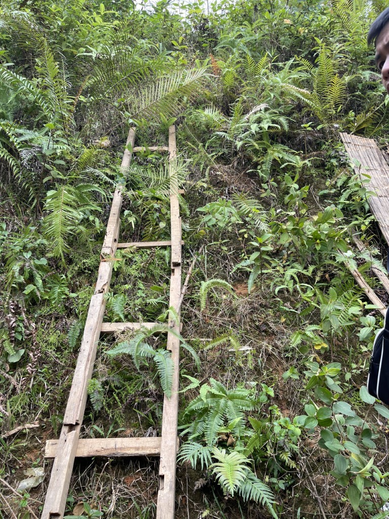 Lô Văn Toàn giấu ma tuý trên đồi phía sau nhà, khi có khách mua, Toàn dùng thang trèo lên đồi để lấy ‘hàng’ để giao dịch