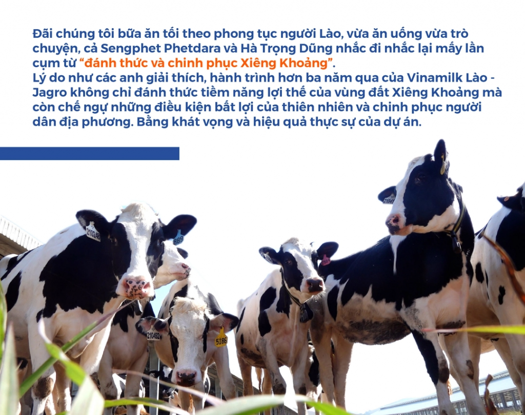 Đến Xiêng Khoảng xem "resort bò sữa" hiện đại nhất Đông Nam Á