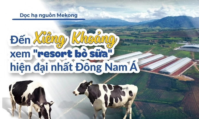 Đến Xiêng Khoảng xem "resort bò sữa" hiện đại nhất Đông Nam Á