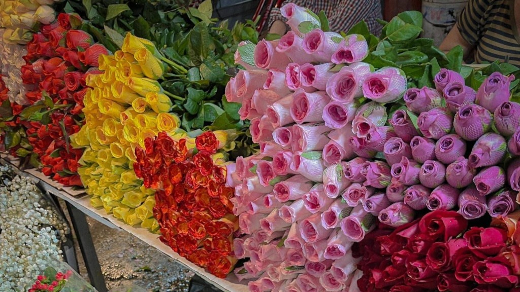 Khám phá thiên đường hoa về đêm của Hà Nội Khám phá thiên đường hoa về đêm của Hà Nội