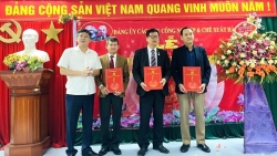 Đảng trong doanh nghiệp ngoài Nhà nước - Bài học từ Nghị quyết 09