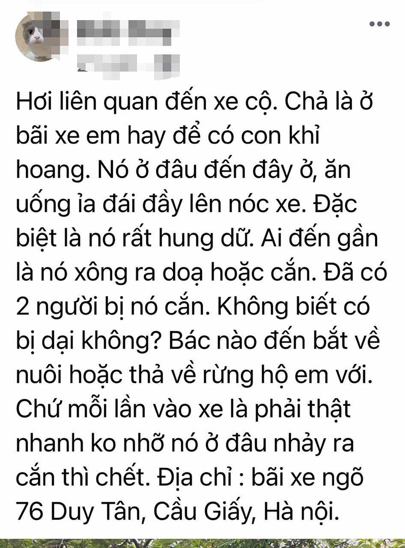 Hình ảnh con khỉ xuất hiện tại bãi xe cùng nội dung chia sẻ trên mạng xã hội