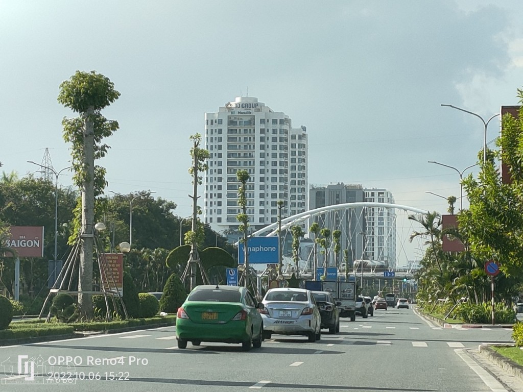 Hàng cây hoa gạo đỏ đang lên xanh tốt tại tuyến đường Lê Hồng Phong, Hải Phòng