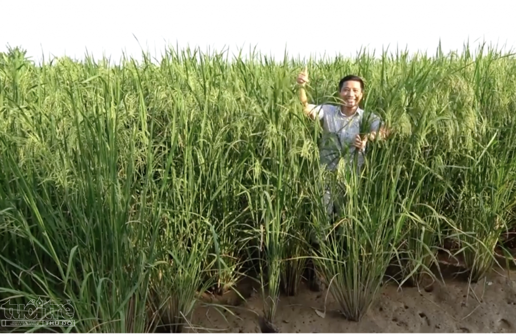 Thành công với mô hình trồng lúa, canh tác rươi