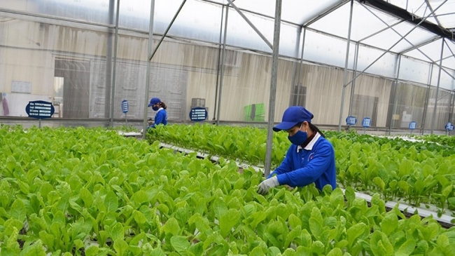 Tăng cường ứng dụng khoa học công nghệ để thúc đẩy phát triển nông nghiệp bền vững