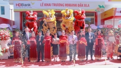 HDBank Đắk Bla - dòng sông chảy ngược vun đắp đại ngàn