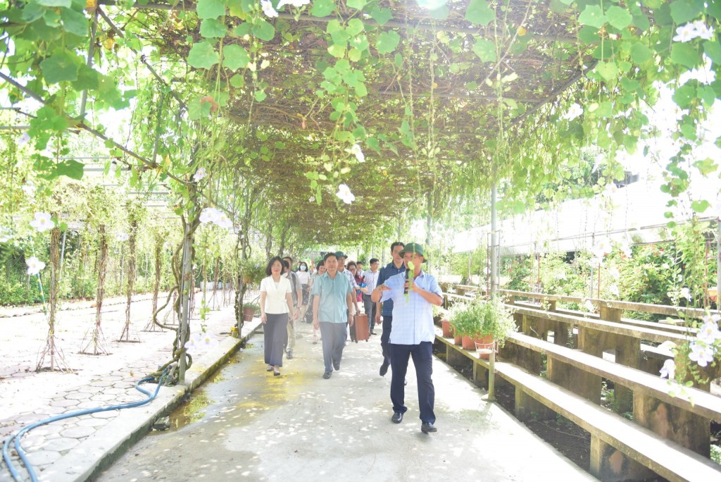Tinh thần cấp ủy khơi dậy ý chí, khát vọng phát triển Tinh thần cấp ủy khơi dậy ý chí, khát vọng phát triển