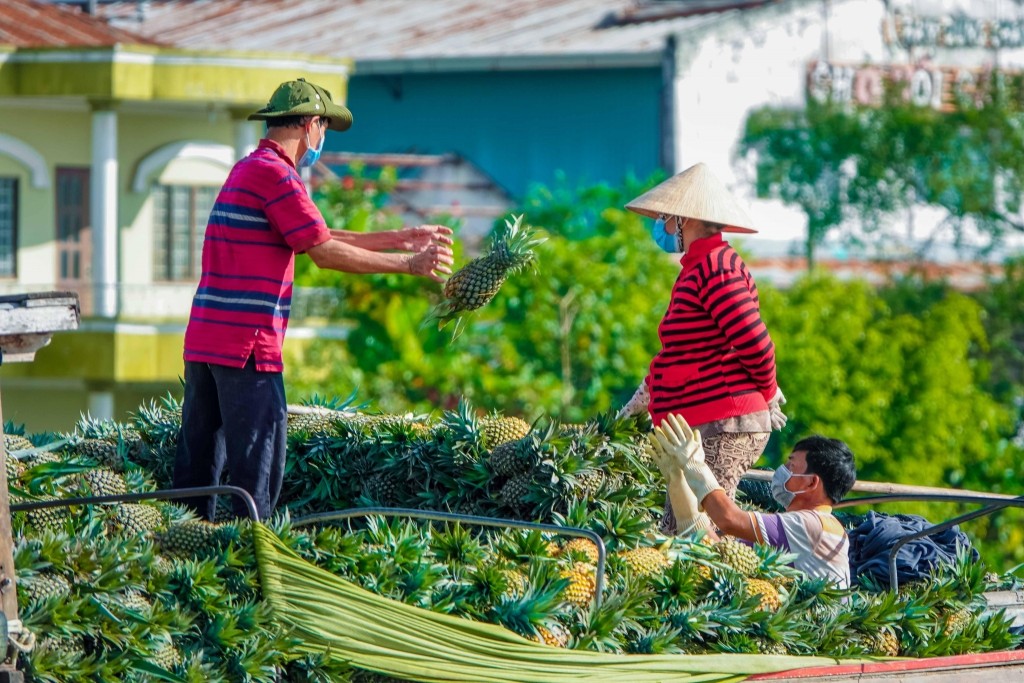 Thúc đẩy xuất khẩu nông sản chính ngạch vùng Đồng bằng sông Cửu Long