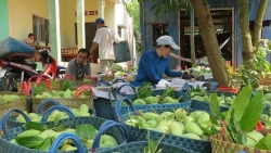 Mã số vùng trồng – Tấm vé thông hành giúp nông sản Việt Nam xuất khẩu thuận lợi