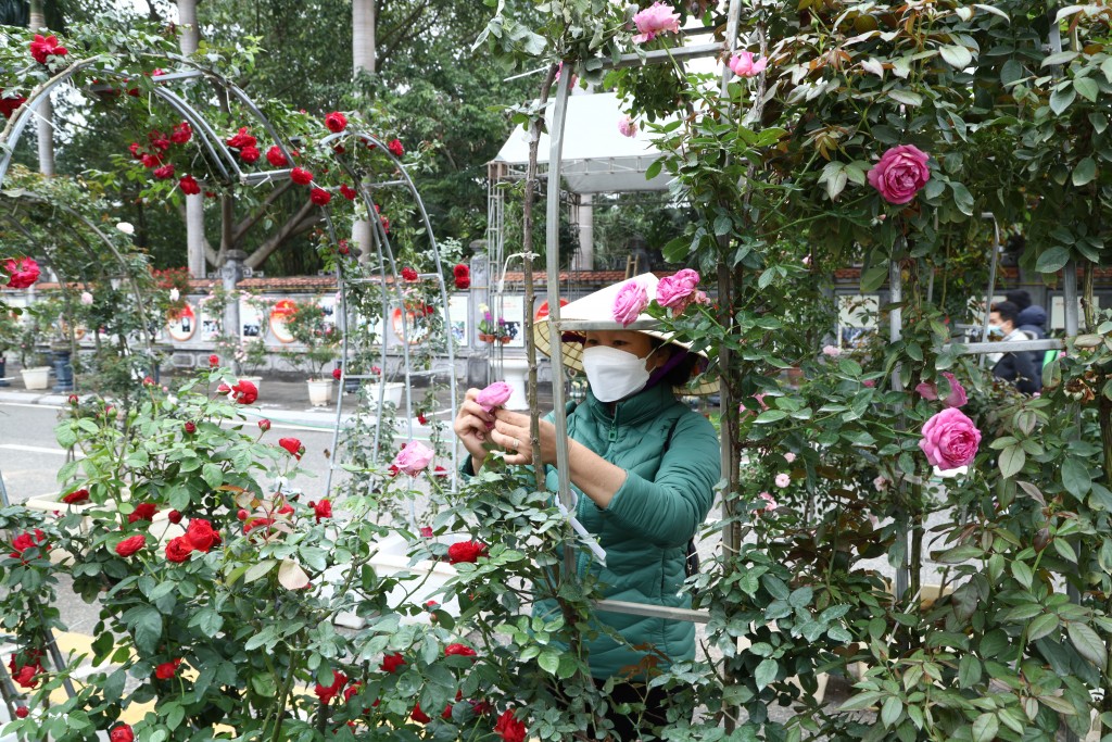 Huyện Mê Linh kỳ vọng hàng vạn khách thập phương tham dự lễ hội hoa