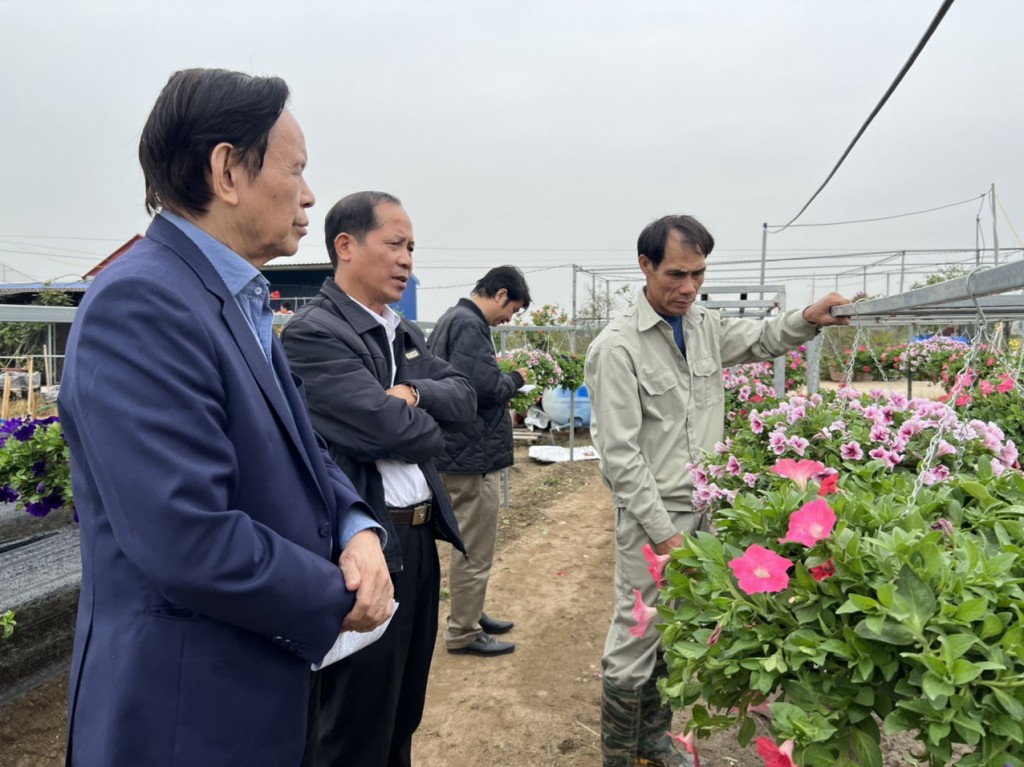 Nghe giới thiệu cách nuôi dưỡng các loại hoa ở xã Thụy Phương, huyện Kiến Thụy, Hải Phòng