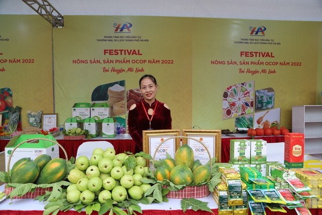 Khai mạc Lễ hội hoa và Festival nông sản, sản phẩm OCOP tại huyện Mê Linh