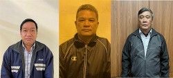 Sai phạm tại Dự án Tân Việt Phát 2, bắt tạm giam Phó chủ tịch UBND tỉnh Bình Thuận