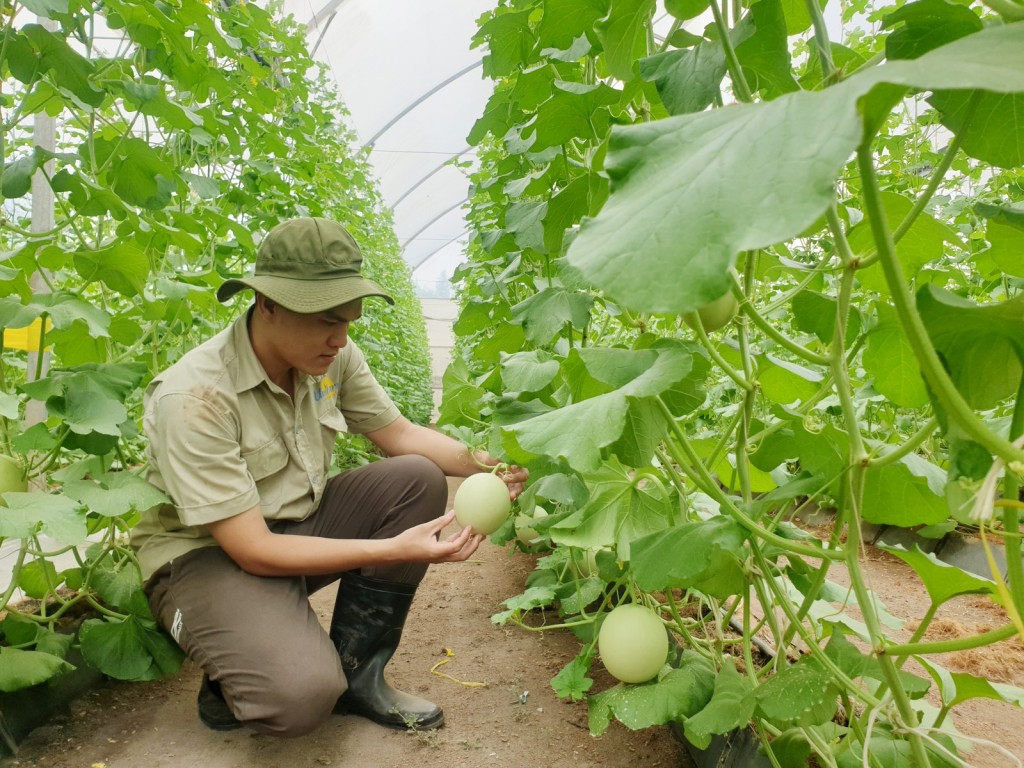 “Làng thông minh” tạo ra diện mạo mới cho khu vực nông thôn Bình Dương