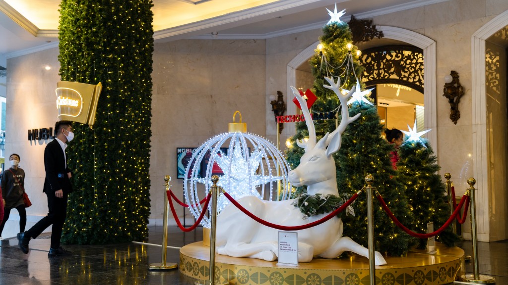 Chiêm ngưỡng những cây thông Noel "khổng lồ" ở Hà Nội