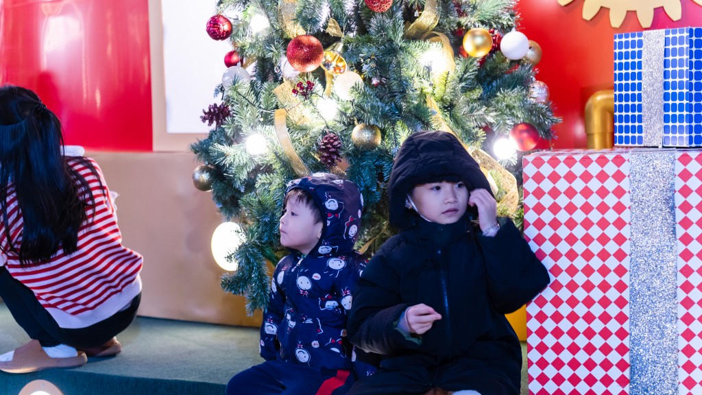 Chiêm ngưỡng những cây thông Noel "khổng lồ" ở Hà Nội