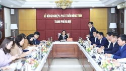 Hà Nội: Vượt gấp đôi chỉ tiêu xã đạt chuẩn Nông thôn mới nâng cao trong năm 2022