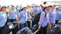 Tăng cường sự lãnh đạo của Đảng đối với công tác đưa lao động Việt Nam đi làm việc ở nước ngoài