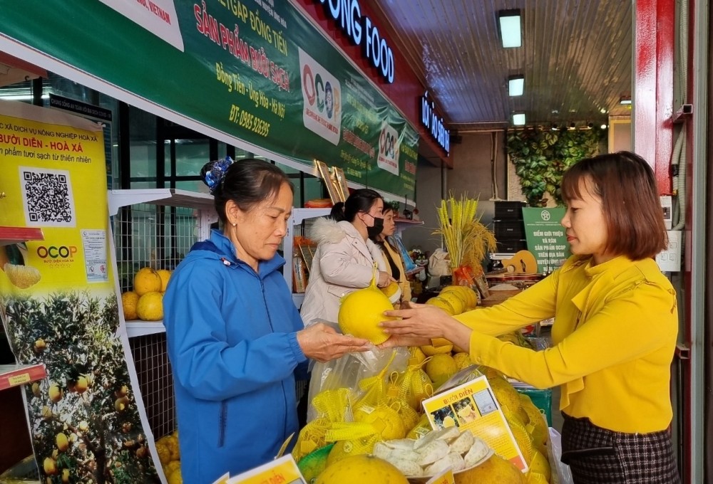 Điểm giới thiệu và bán sản phẩm OCOP góp phần quảng bá, nâng cao giá trị nông sản