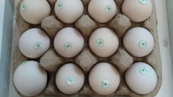 Độc đáo sản phẩm OCOP 4 sao trứng gà cà gai leo Sadu