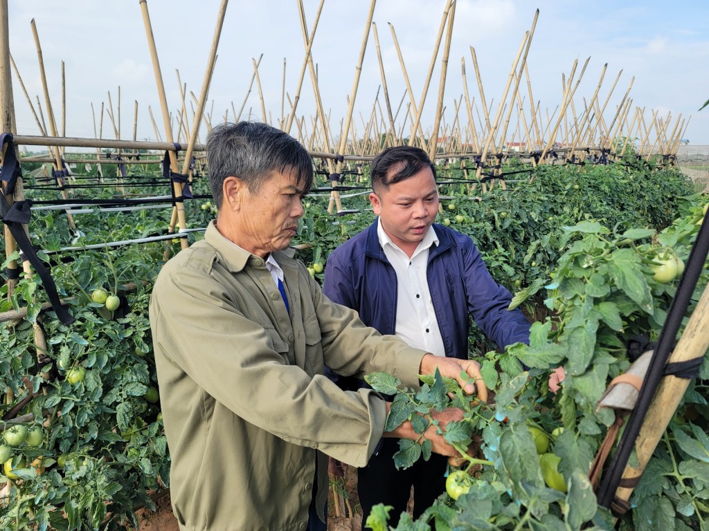 Từng bước cơ cấu lại cây trồng, vật nuôi phù hợp với quy hoạch chung