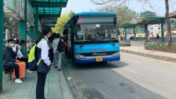 Hà Nội triển khai phương án vận tải hành khách công cộng dịp Tết