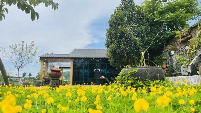 Những điểm đón Tết Dương lịch thú vị ở Hà Nội