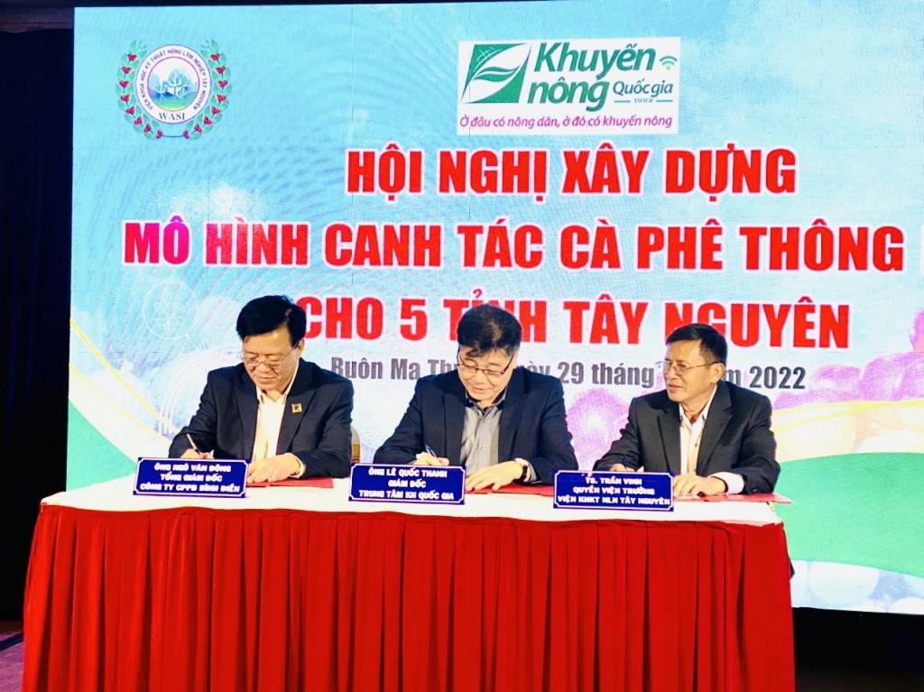 Bình Điền tổ chức xây dựng mô hình canh tác cà phê thông minh cho 5 tỉnh Tây nguyên