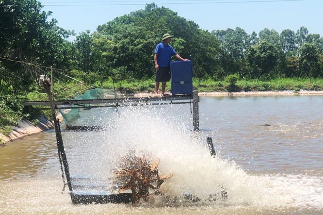 Sở NN&PTNT được phép: Cấp gia hạn, điều chỉnh nội dung giấy phép hoạt động nuôi trồng thủy sản