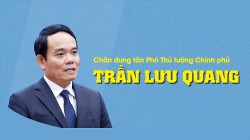 [Infographic] Chân dung tân Phó Thủ tướng Chính phủ Trần Lưu Quang