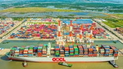 Bà Rịa - Vũng Tàu tổ chức Diễn đàn Logistics Việt Nam năm 2024