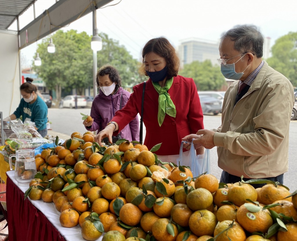 Hội chợ Xuân Quý mão năm 2023: Nơi hội tụ hương vị Xuân đất Việt