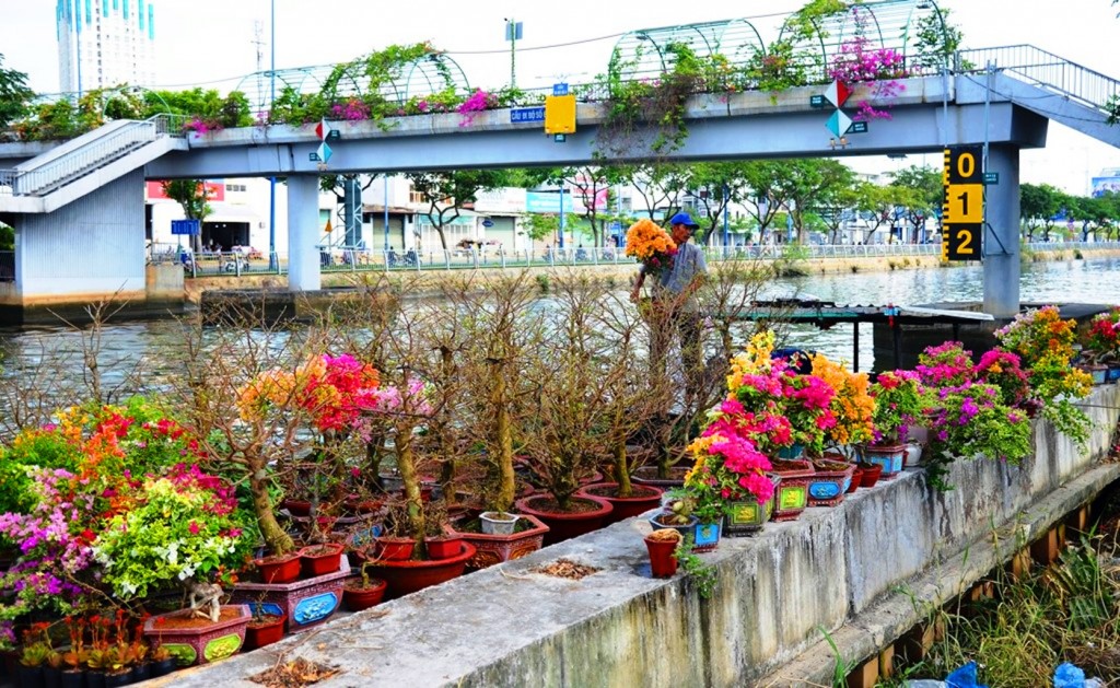Thương hồ chở hoa về phố