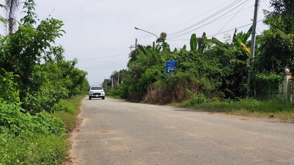 Đường làng xanh mát trên cù lao Bạch Đằng