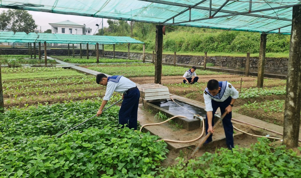 Các chiến sĩ chăm sóc vườn rau tại khu tăng gia tập trung của Lữ đoàn