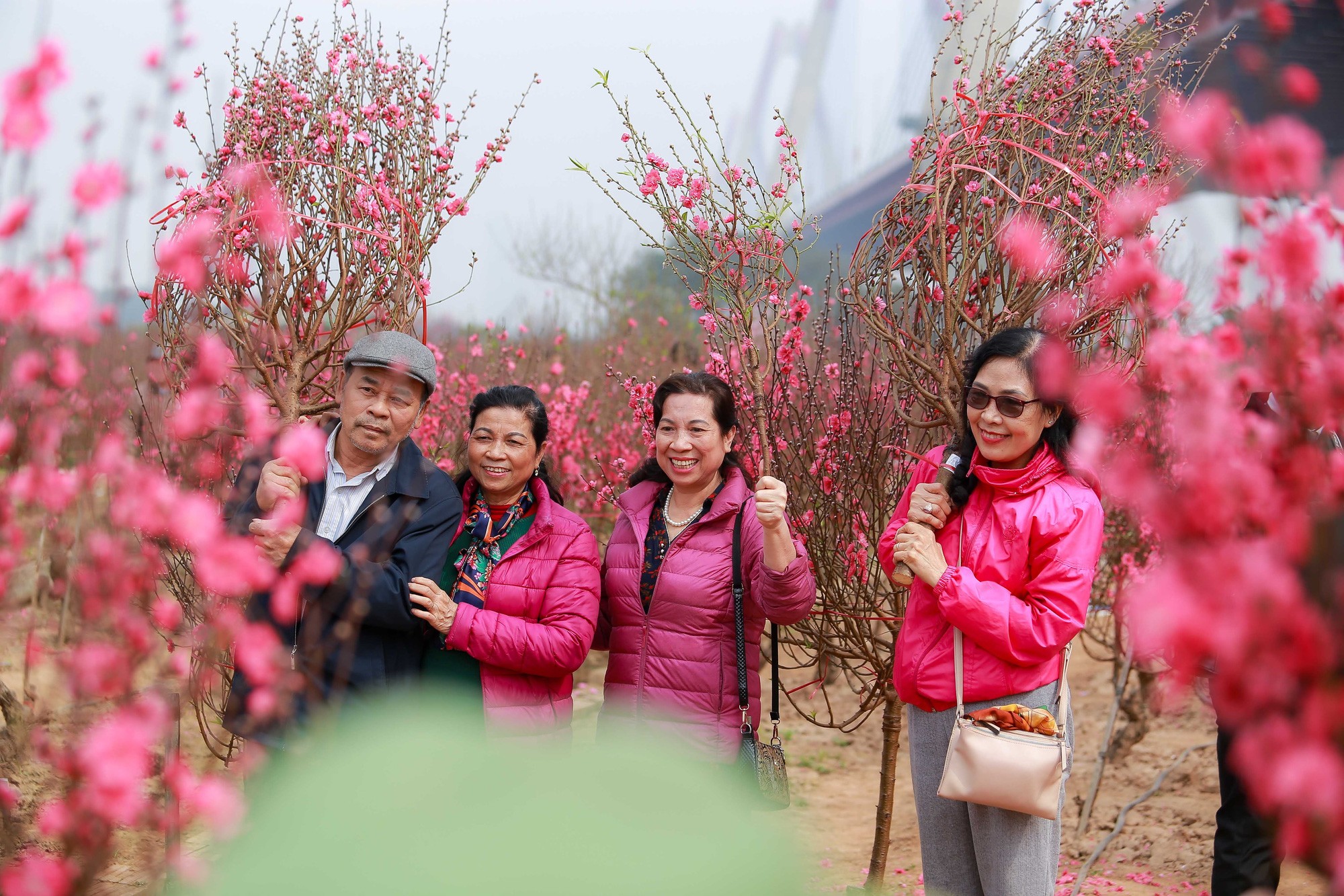 Nhiều người dân đã tìm về những vườn đào tại đây để tận hưởng không khí Tết cận kề