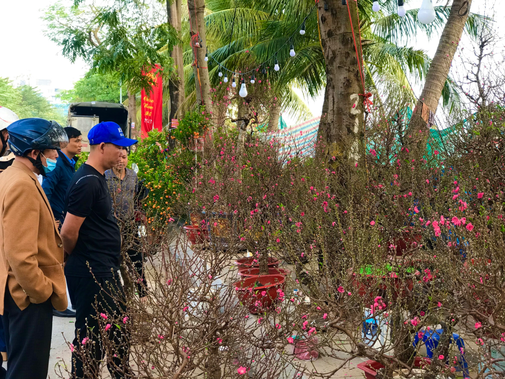 Sắc hoa xuân nở rực trên phố phường Hà Nội Sắc hoa xuân nở rực trên phố phường Hà Nội