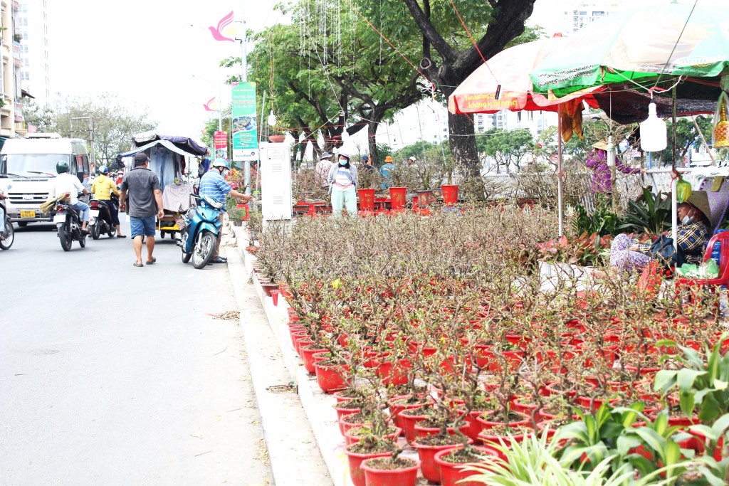 Theo khảo sát tại đây, giá mỗi gốc mai dao động khoảng 500 nghìn đồng đến vài triệu đồng. Gốc mai nào lớn, dáng đẹp, nụ nhiều thì cũng phải chục triệu đồng. Ngoài ra, còn rất nhiều các loại cây khác với đủ mức giá khác nhau, vài chục có, vài trăm hay vài triệu cũng có