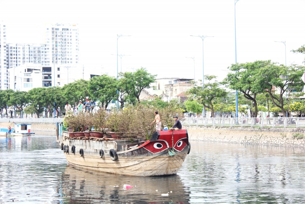 Ông Sáu (quê Vĩnh Long) cùng anh em họ hàng đã chở đầy ghe hoa Tết, xuất phát từ Vĩnh Long lên bến Bình Đông từ khoảng 23 âm lịch. Ông kể: “Gia đình tôi cứ giờ này hàng năm lại chở khoảng trên 50 chậu hoa kiểng lên đây bán cho bà con. Tất cả đều là những chậu hoa tốt nhất, đẹp nhất, tha hồ cho bà con chọn về chưng Tết”.