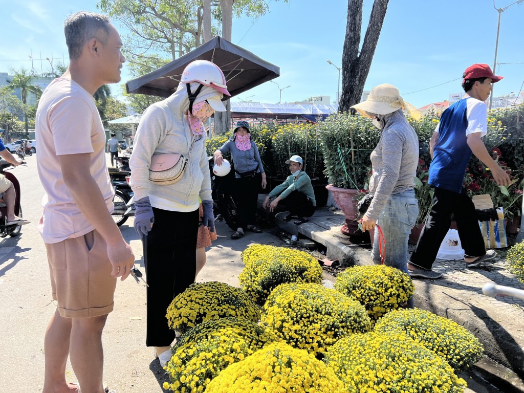 Đà Nẵng: Hoa Tết “đổ bộ” xuống phố, khách mua thưa thớt