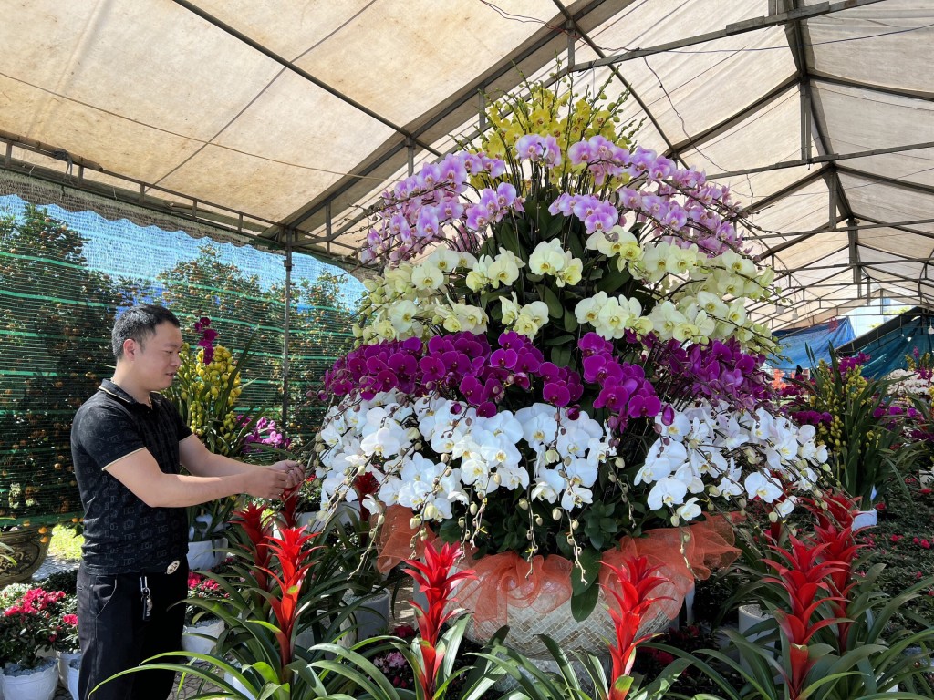 Đà Nẵng: Hoa Tết “đổ bộ” xuống phố, khách mua thưa thớt