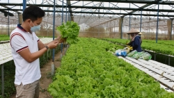 Chuyển đổi số: “Chìa khóa” phát triển bền vững ngành nông nghiệp Việt Nam