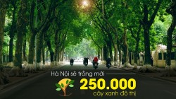 Hà Nội sẽ trồng mới 250.000 cây xanh đô thị