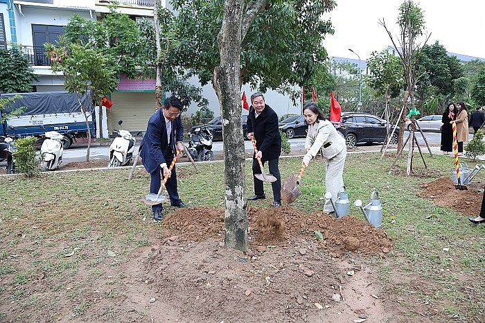 Phó Chủ tịch Thường trực UBND thành phố Lê Hồng Sơn trồng cây tại quận Hà Đông