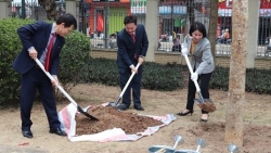 Sở Y tế Hà Nội phát động "Tết trồng cây đời đời nhớ ơn Bác Hồ" Xuân Quý Mão