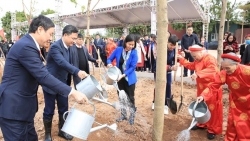 Phó Bí thư Thường trực Thành ủy Nguyễn Thị Tuyến dự lễ phát động Tết trồng cây tại huyện Thanh Trì