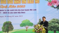 Huyện Mê Linh: Những con đường hoa làm bừng sáng Nông thôn mới