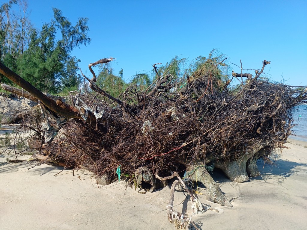 Quảng Nam: Cần xây dựng kè để bảo vệ bờ biển Duy Hải đang bị xâm thực, sạt lở kéo dài