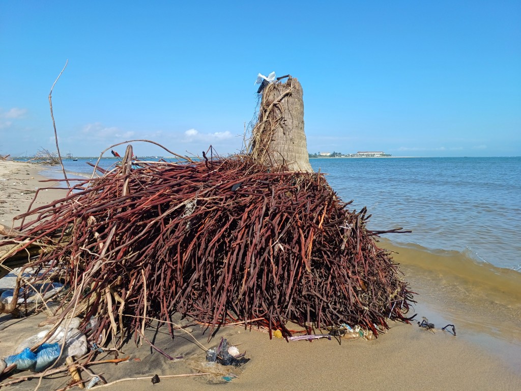 Quảng Nam: Cần xây dựng kè để bảo vệ bờ biển Duy Hải đang bị xâm thực, sạt lở kéo dài